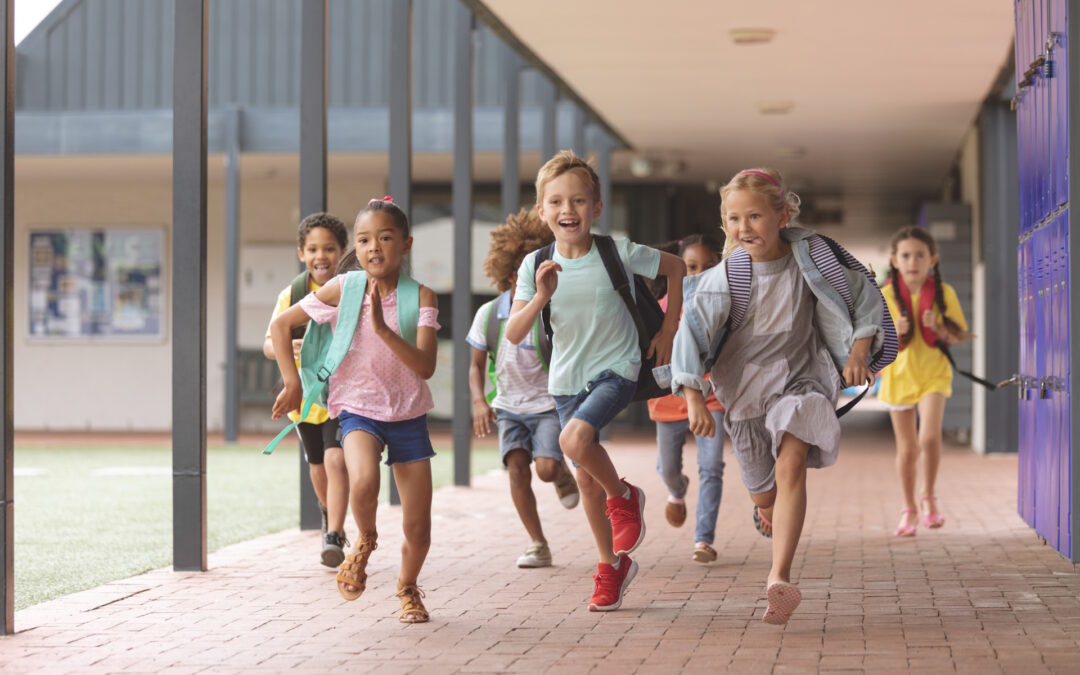 Back-to-School Lunches with a Cajun Twist: Quick & Creative Meals with Don’s Specialty Meats